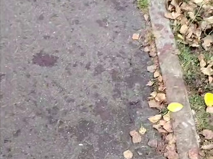 Станислав Веселов о катастрофе в Красногорске: «Это нарочито кровожадный террористический почерк»