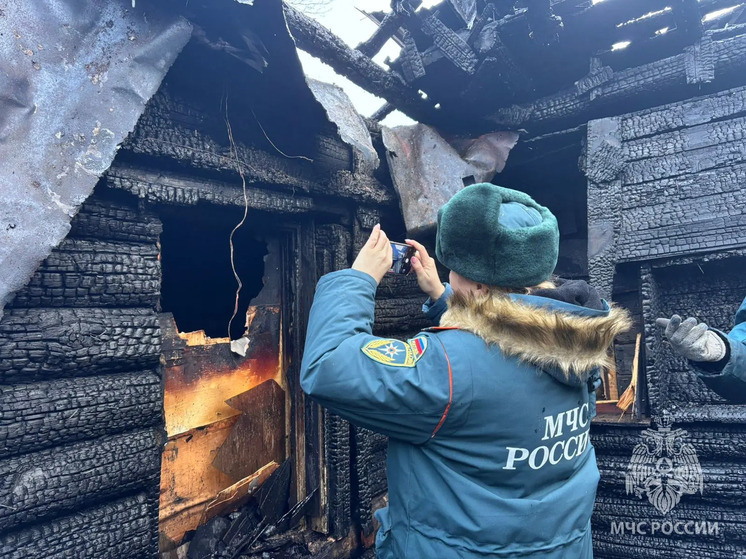 Звуки начинающегося пожара разбудили новгородку и трех ее детей