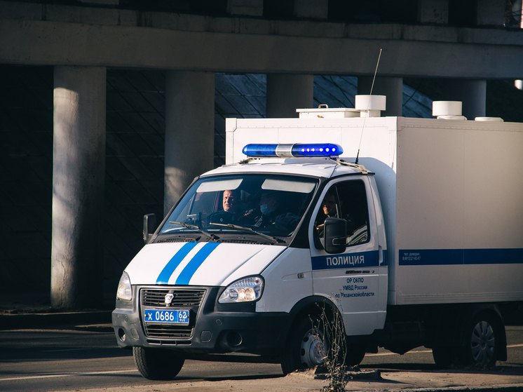 Задержан 18-летний подозреваемый в поножовщине у кафе в центре Рязани