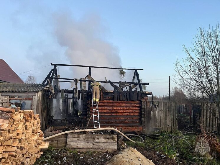 В частном хозяйстве Оршанского района сгорела баня