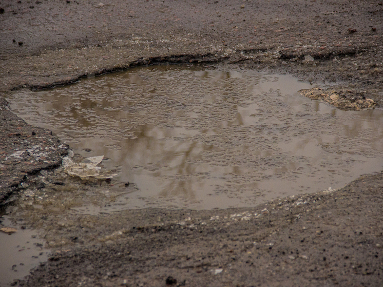 Министр транспорта и дорожного хозяйства Тульской области Светлана Воскресенская подтвердила, что разбитая дорога, соединяющая село Панино и деревни Голубовка и Рублевка в Киреевском районе, будет включена в план ремонта на 2028 год