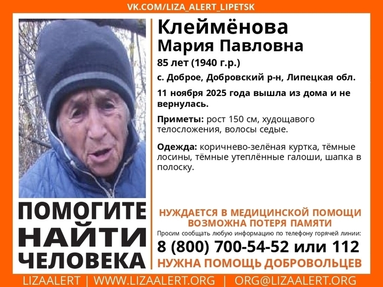 В Липецкой области разыскивают 85-летнюю бабушку с потерей памяти