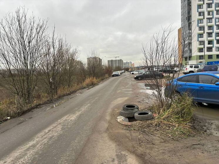 В Ленобласти обустроят Гаражный проезд между Мурино и Буграми после жалоб