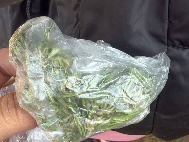 Полицейские нашли у астраханца больше 800 грамм каннабиса