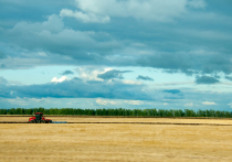 В то время как для большей части планеты изменение климата оборачивается нарастающей чередой катастроф – засухами, опустыниванием, наводнениями и невыносимой жарой, – для России оно может стать историческим шансом на окончательное возрождение в статусе сверхдержавы. Об этом пишет The New York Times (статью перевели ИноСМИ). 