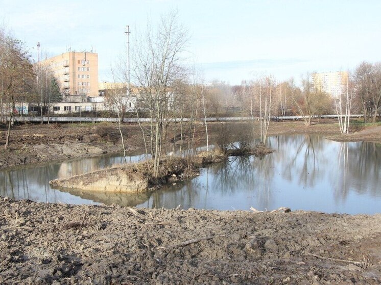Завершение благоустройства Черезовских прудов в Рязани намечено на декабрь