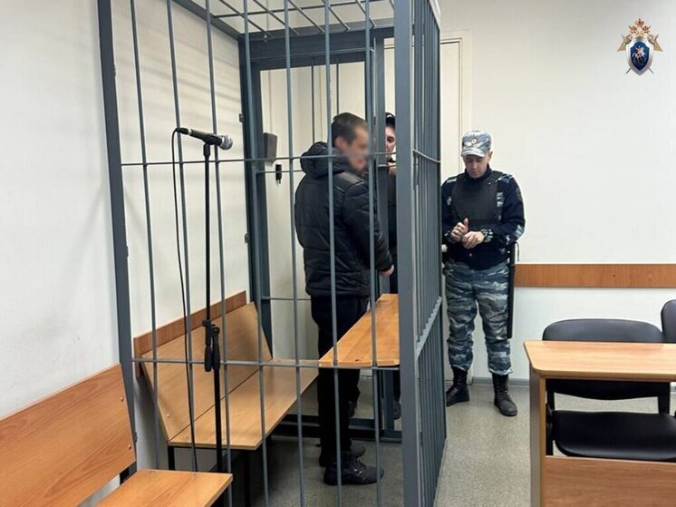 Сын убил сожителя матери в Петрозаводске