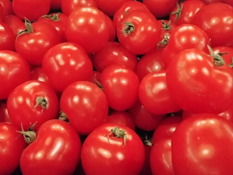 Фитосанитарная обстановка Калининграда ухудшилась из-за импортных вредителей