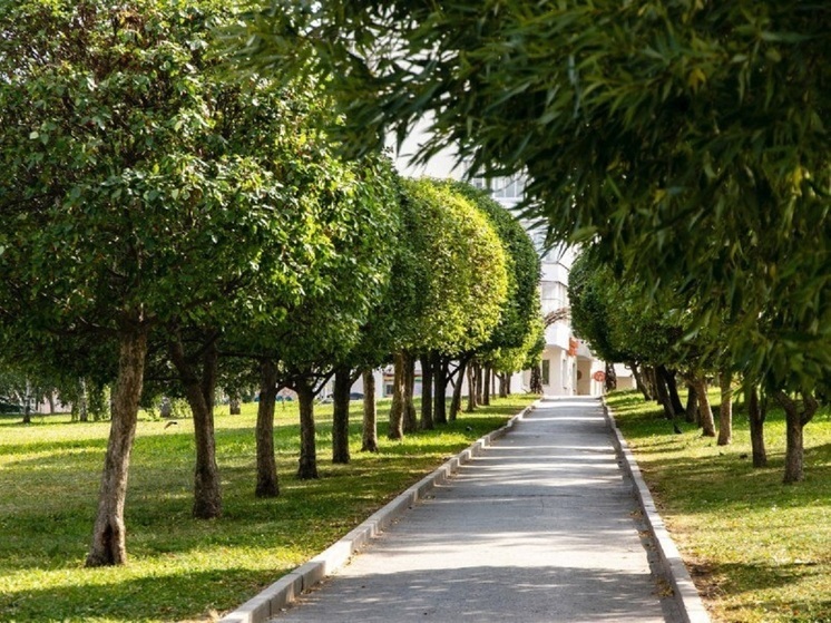 В Екатеринбурге появился сквер Ильи Кормильцева