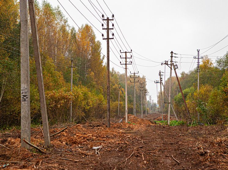 Тверские энергетики «Россети Центр» выправили и обновили 875 опор линий электропередачи