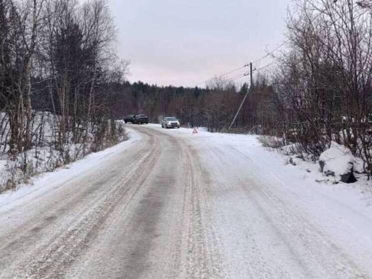 Два человека пострадали в аварии в Кольском районе