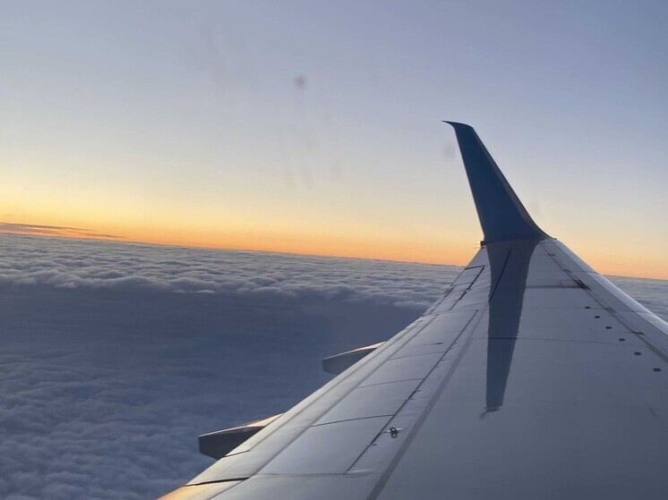 Рязанского айтишника депортируют из Черногории за насилие над животными