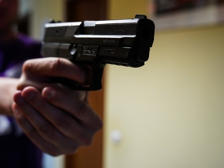 Жителя Новомосковска осудили за хранение найденного на улице пистолета