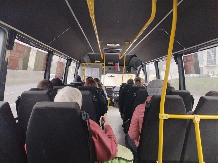 Петербуржцам посоветовали следить в автобусе не только за вещами, но и за речью