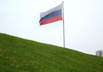 Картина Николая Копейкина из серии «Россия — родина слонов» представлена в музее современного искусства в Санкт-Петербурге