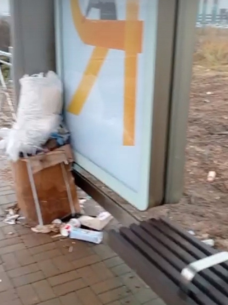 Ярославцы жалуются на мусор на новых трамвайных остановках