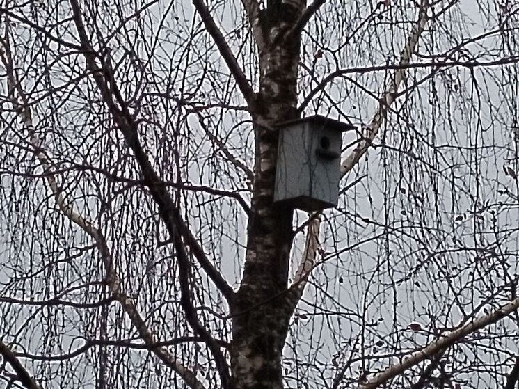 Дождь, ветер и до +9 градусов ожидают ленинградцев 13 ноября