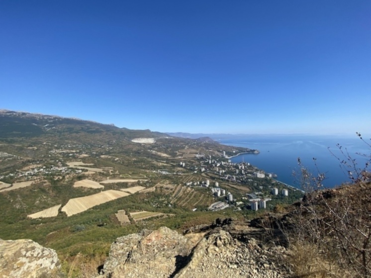 Полиция задержала заммэра Ялты