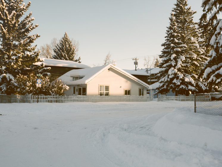 Раскрыт секрет натурального утеплителя для сада: депутат рассказал, какую листву нельзя убирать осенью