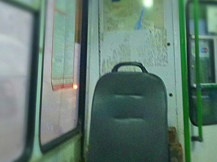 В Воронеже запустят новый маршрут до Семилук