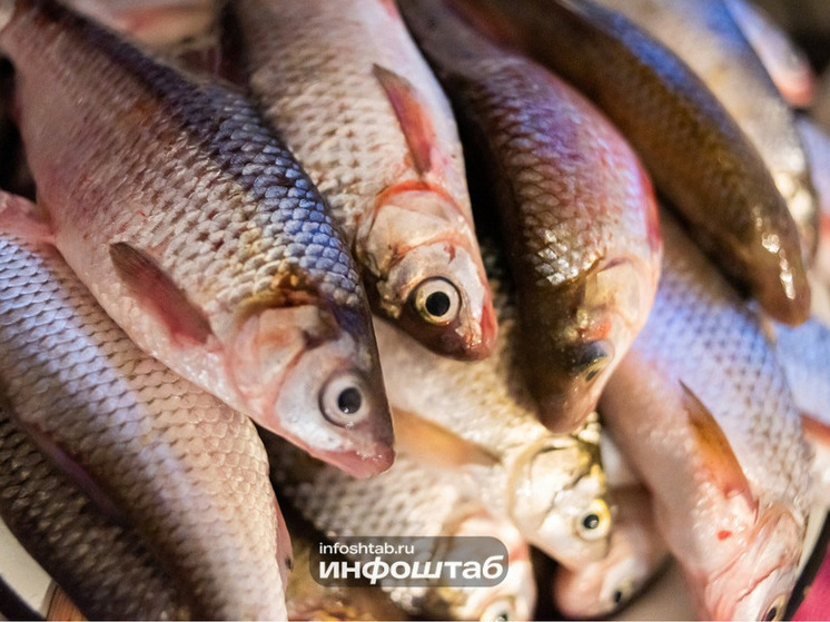 В Астрахани очистили каналы для миграции рыб