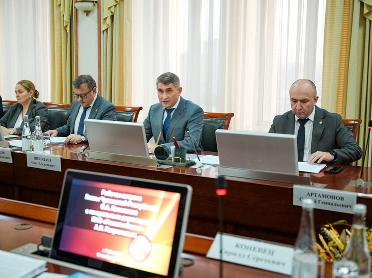 Николаев обсудил с главой ПАО «Россети Волга» развитие электросетевой инфраструктуры Чувашии