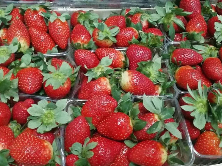 Около 20 тонн заражённой клубники из Китая сожгут в Приамурье