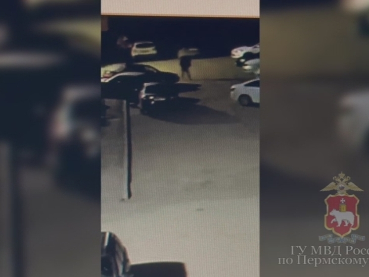 В Прикамье установлен подозреваемый в угоне