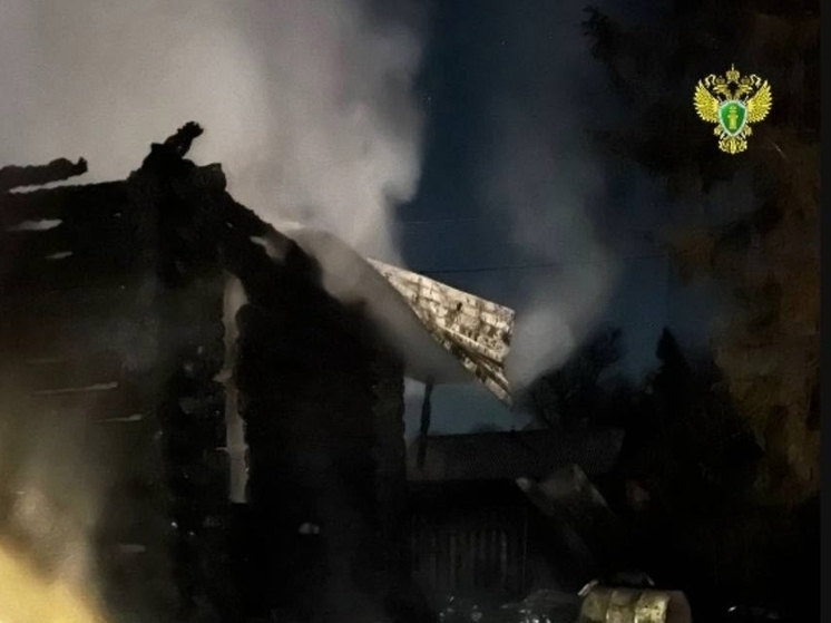 Тело мужчины найдено на пепелище в костромской деревне