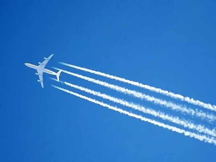 Тишковец опроверг версию распыления США химикатов по всему миру