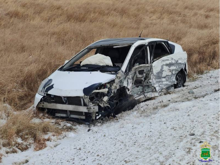 В ЕАО за сутки в ДТП погибли два человека