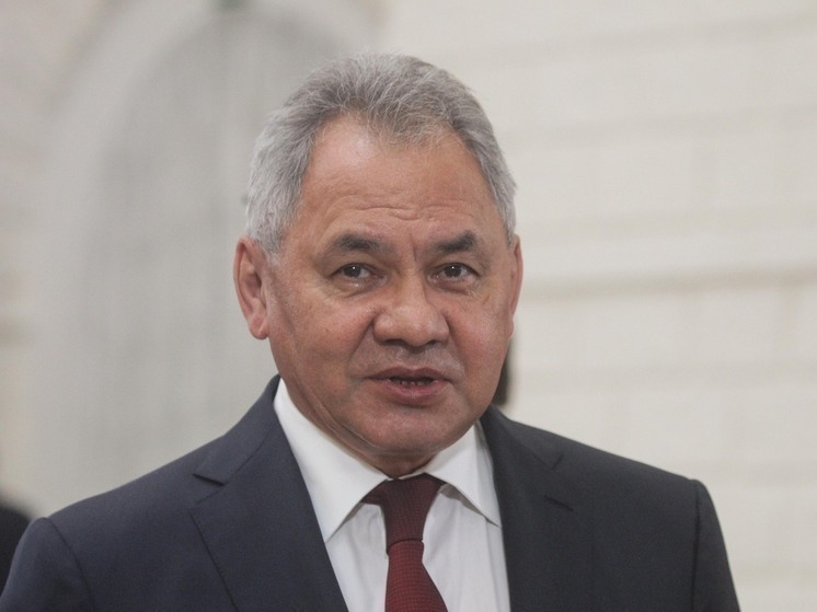 Шойгу: премьер Японии Такаити взяла курс на политику реваншизма