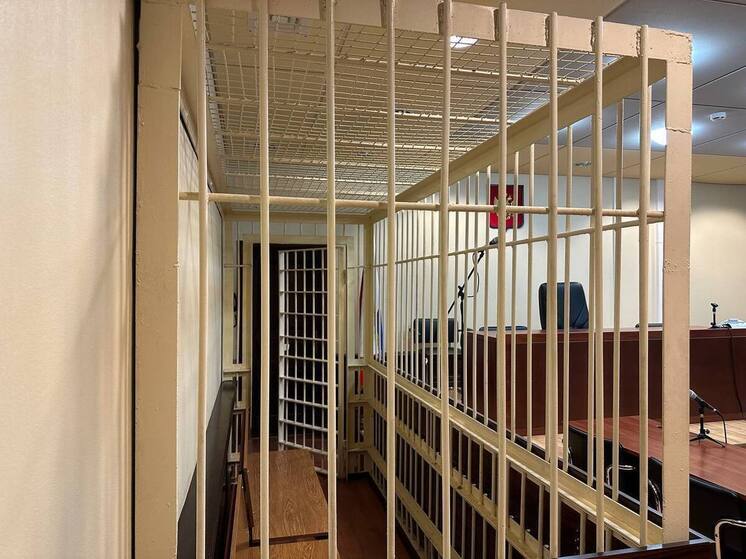 Житель Комсомольска-на-Амуре убил сожителя матери и покушался на мать