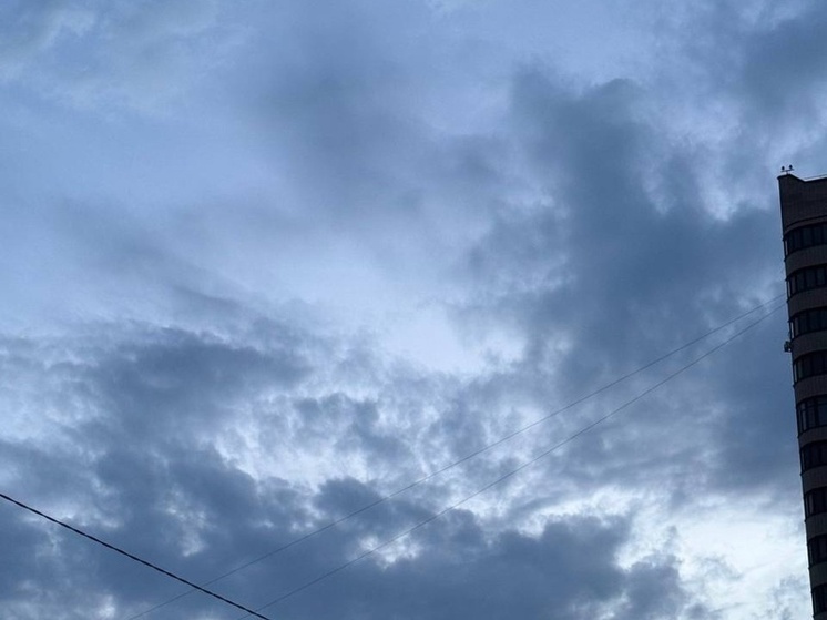 В ночь на 13 ноября в трех муниципалитетах Ростовской области отразили атаку БПЛА