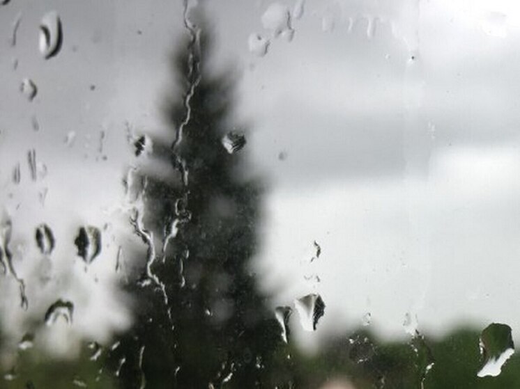 В четверг в Воронежской области местами прольют дожди