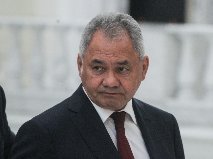 Шойгу: ЕС является зоной отчуждения прав человека с отдельным пропуском