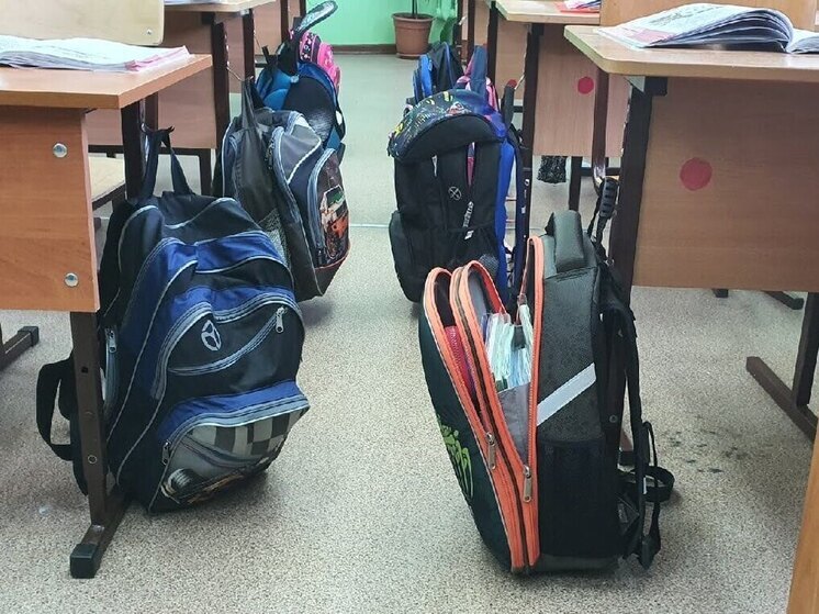  Более 30 «земских» пополнят педагогический состав в Омской области в ближайшие годы