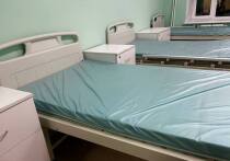 Мужчина и пятилетний мальчик, пострадавшие при страшном пожаре в селе Черемное Павловского района, спустя сутки после происшествия продолжают находиться в тяжелом состоянии