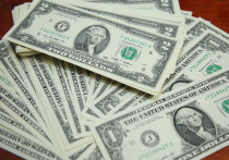 Золотые слитки, доллары, а также дирхамы (валюта Объединенных Арабских Эмиратов) похитили мошенники у 20-летней жительницы подмосковного Королева