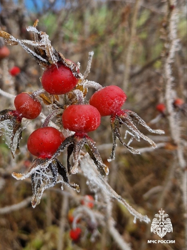 Осторожно — гололед. Костромские автоинспекторы и спасатели предупреждают