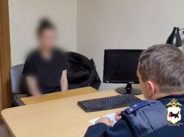 Сибирячке за поджог энергообъекта светит 20 лет по статье "теракт"