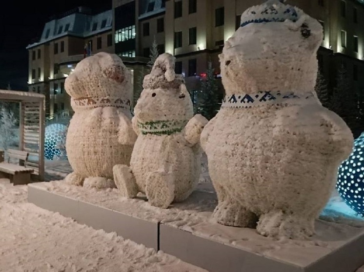 Семь новогодних елок и ледовый городок с засекреченной тематикой украсят Салехард