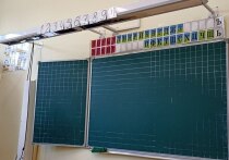 Руководство Мурманского медицинского колледжа официально опровергло информацию о вспышке гепатита А среди своих студентов