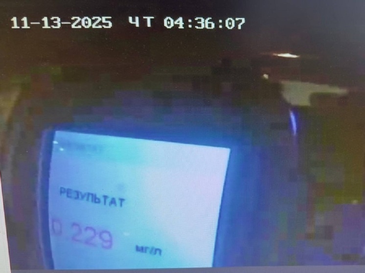 Жительница Губкинского нарвалась на административку за пьянство за рулем