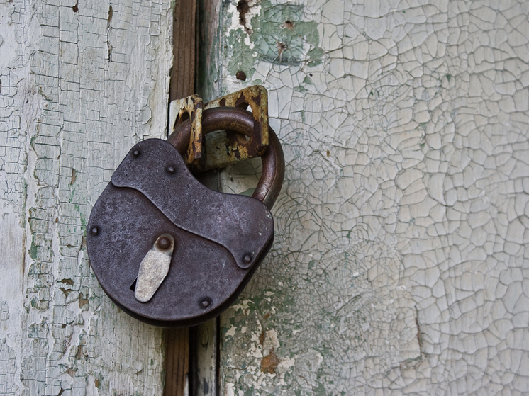 Кошатница из Плесецка очень не хотела открывать дверь газовщикам