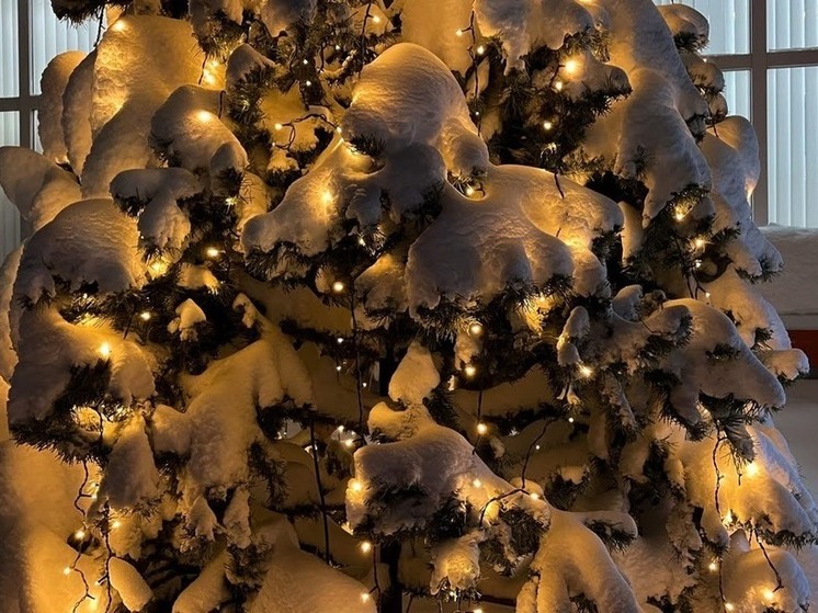 В двух омских парках готовят катки и горки к новогодним праздникам