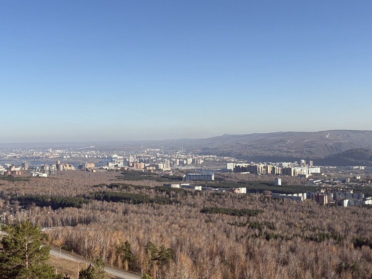 В Красноярске создадут региональный центр защиты интеллектуальной собственности