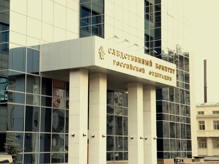 Бастрыкин затребовал доклад о бродячих псах Гусиноозерска