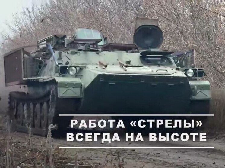 ВС РФ поразили новейший беспилотник ВСУ «Батяр» на Запорожском фронте