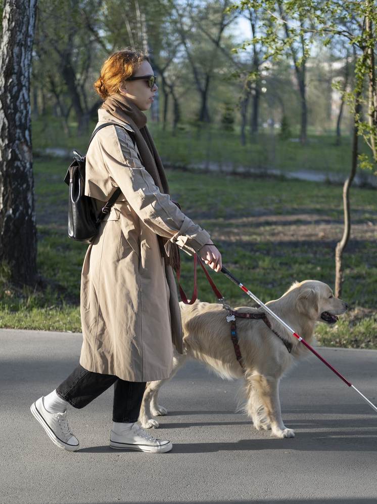 Собак-поводырей нижегородцам дадут бесплатно и с компенсацией